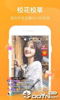 一直播看片app,一直播看片APP深度解析