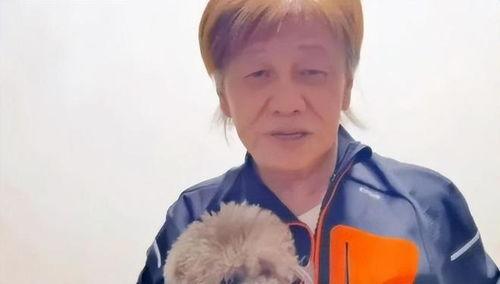 娱乐圈吃瓜小说一口气看完,一网打尽,揭秘明星背后的秘密