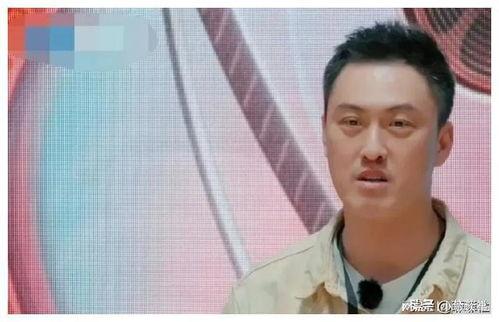 娱乐圈吃瓜爆料漫画,揭秘幕后真相的吃瓜漫画